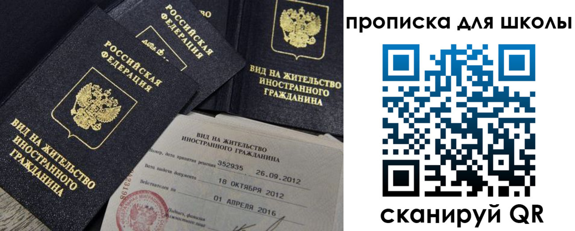 прописка паспорт в Нелидово